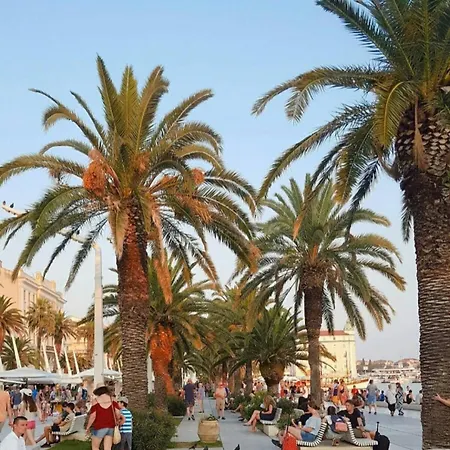 Oasis In The Heart Of Apartamento Split