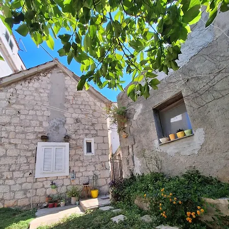 Apartamento Oasis In The Heart Of
